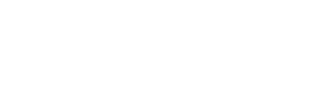 JDM Network Solutions Logo